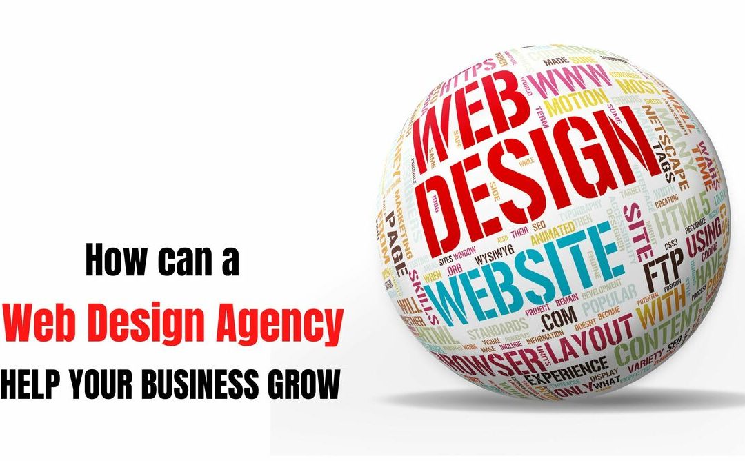 How Can A Web Design Agency Help Your Business Grow?